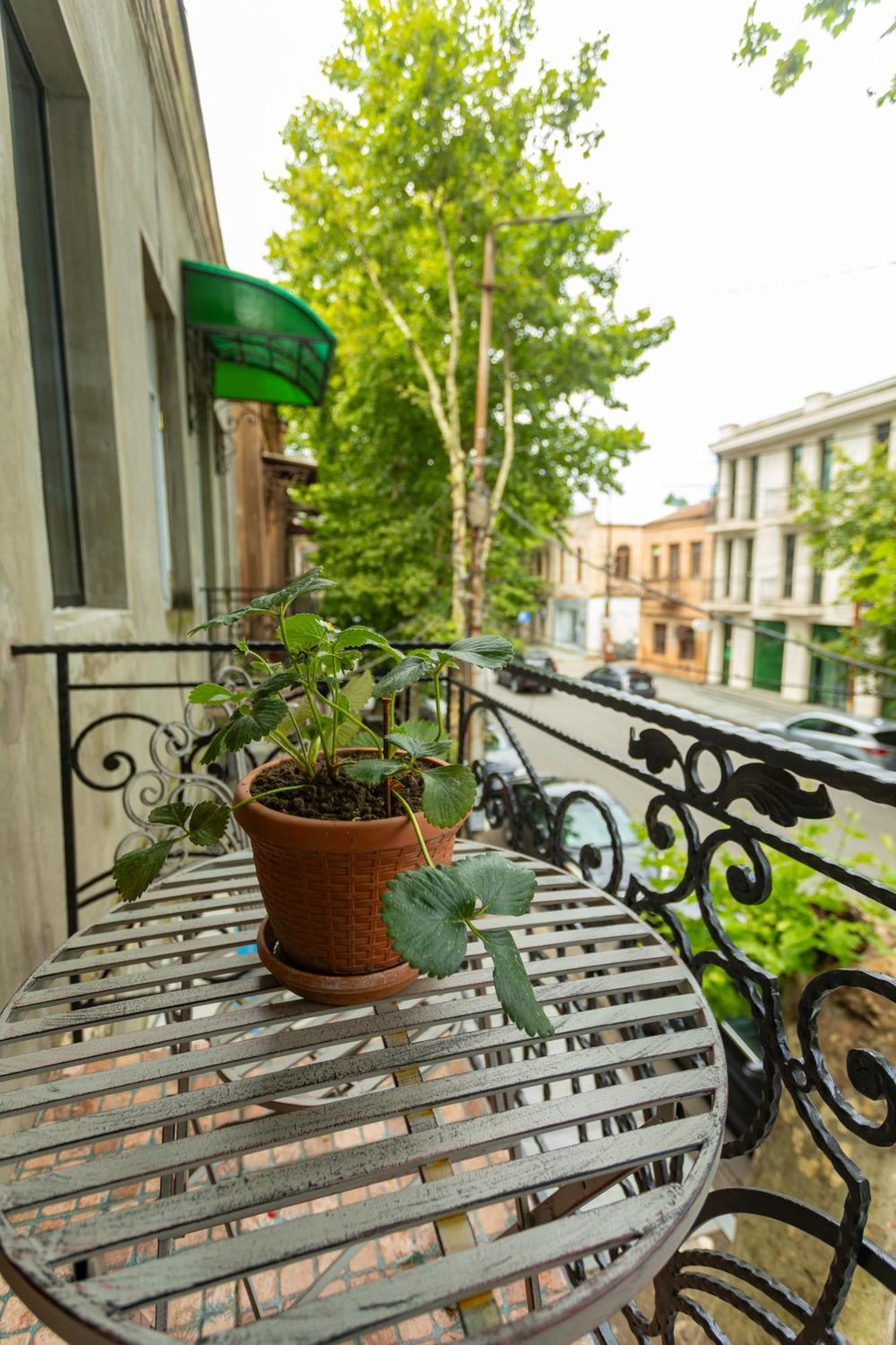 Mulberry Ბჟოლები Apartment Kutaisi Ngoại thất bức ảnh
